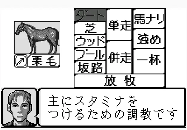 [WS]竞走马育成模拟