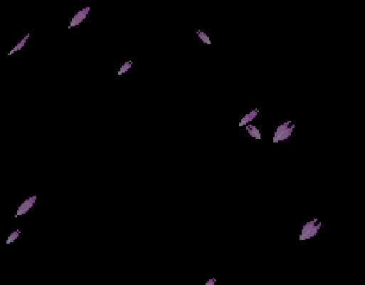 [GBA]战国革命外转