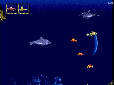 [MD]小海豚