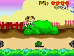 [MD]起司豹
