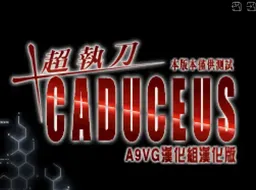 [NDS]超执刀