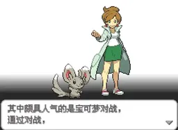 [NDS]口袋妖怪(精灵宝可梦)-白