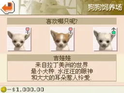 [NDS]任天狗吉娃娃