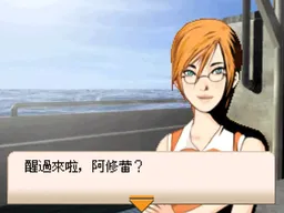 [NDS]双重记忆异色代码