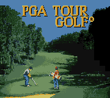 [GG]小海豚历险记