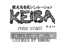 Kyousouba Ikusei Simulation - Keiba 截图1