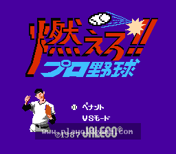 [NES]满贯全垒打